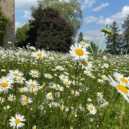 Apartamento Relaxing Days At Renaissance Castle - 2br *