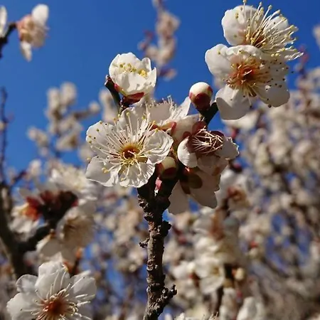 Apartamento Relaxing Days At Renaissance Castle - 2br