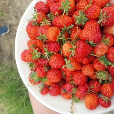 شقة Relaxing Days At Renaissance Castle - 2br *