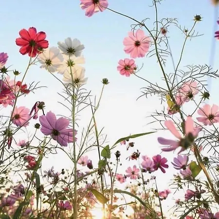 Relaxing Days At Renaissance Castle - 2br Apartamento Kalsdorf bei Ilz