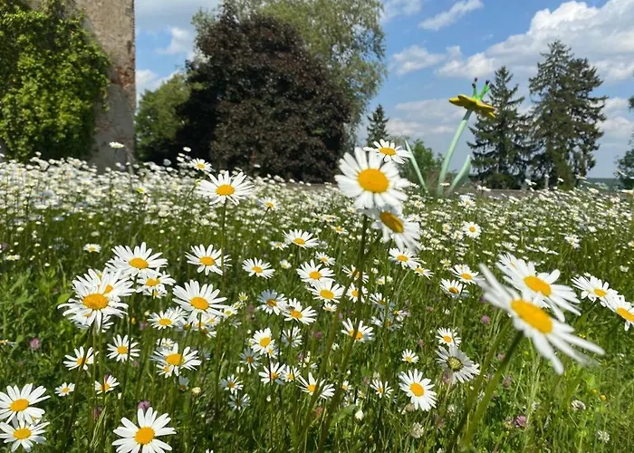 Apartment Relaxing Days At Renaissance Castle - 2br *