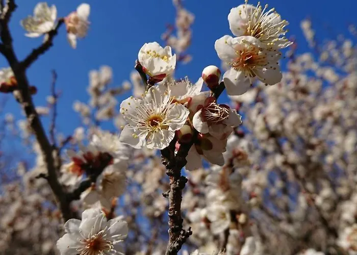 شقة Relaxing Days At Renaissance Castle - 2br