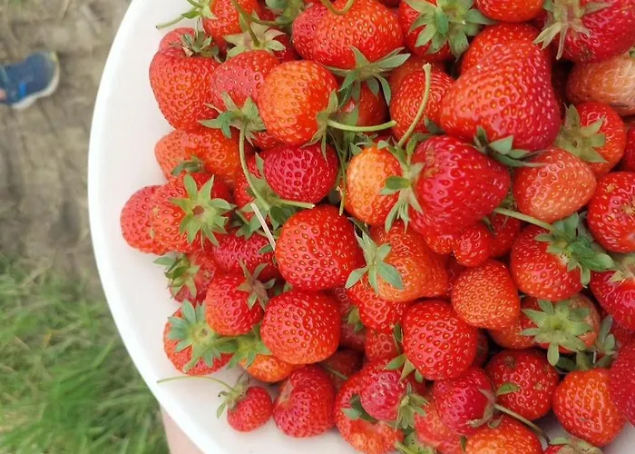 Apartment Relaxing Days At Renaissance Castle - 2br *