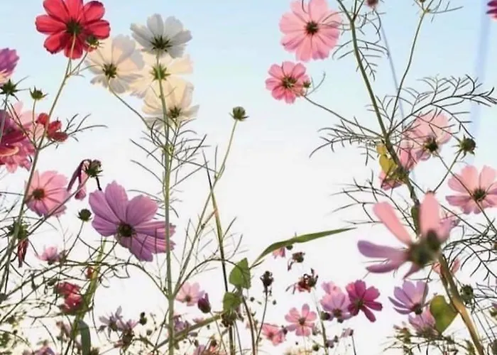 Relaxing Days At Renaissance Castle - 2br Apartment Kalsdorf bei Ilz